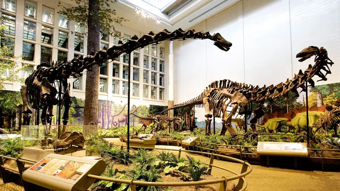 The Carnegie Museum of Natural History