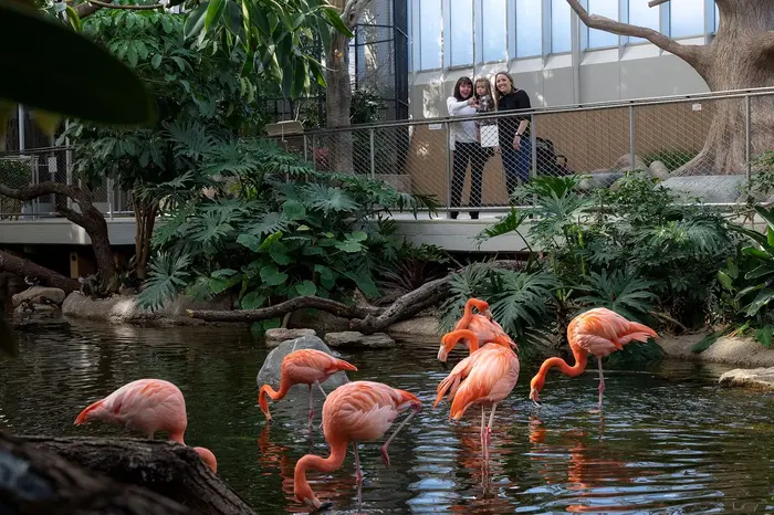 The National Aviary