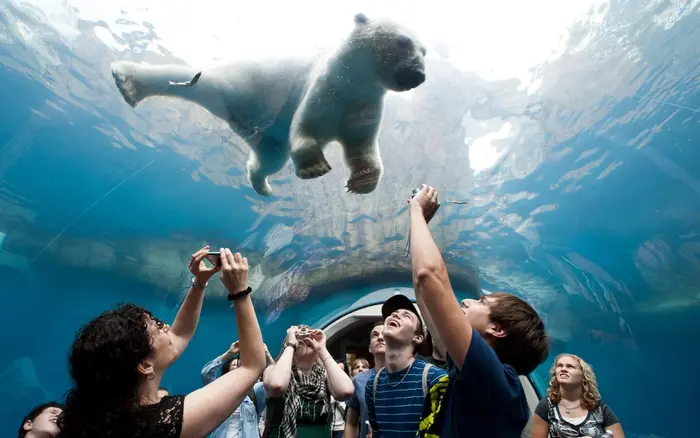 The Pittsburgh Zoo & Aquarium
